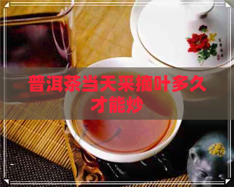 普洱茶当天采摘叶多久才能炒