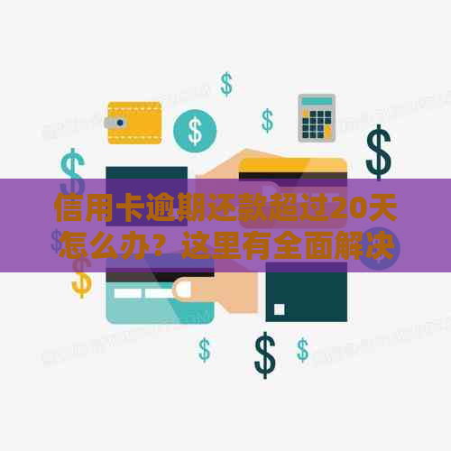 信用卡逾期还款超过20天怎么办？这里有全面解决方案！