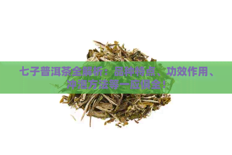 七子普洱茶全解析：品种特点、功效作用、冲泡方法等一应俱全！