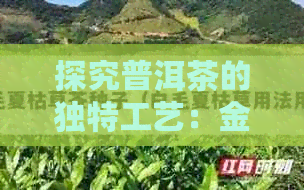 探究普洱茶的独特工艺：金圈对品质的影响