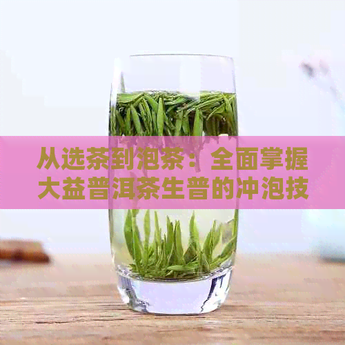 从选茶到泡茶：全面掌握大益普洱茶生普的冲泡技巧与注意事项