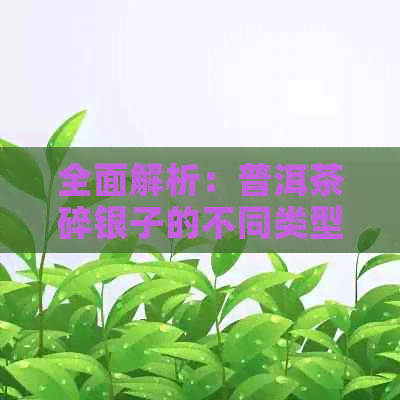 全面解析：普洱茶碎银子的不同类型及其价格影响因素