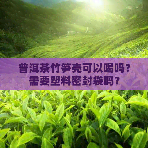 普洱茶竹笋壳可以喝吗？需要塑料密封袋吗？