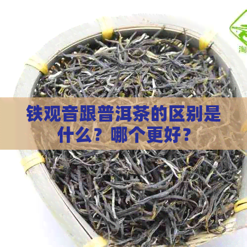 铁观音跟普洱茶的区别是什么？哪个更好？