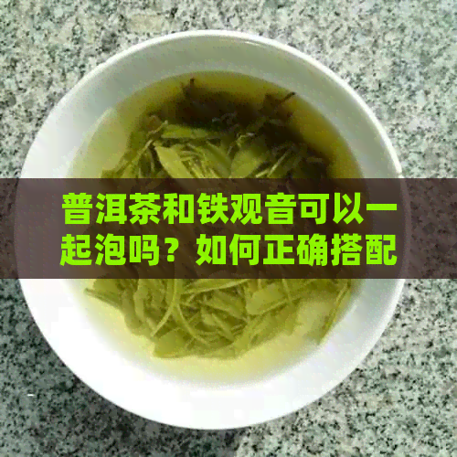 普洱茶和铁观音可以一起泡吗？如何正确搭配泡制这两种茶叶？