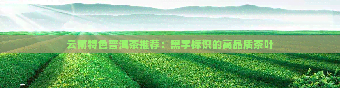 云南特色普洱茶推荐：黑字标识的高品质茶叶