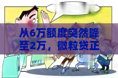 从6万额度突然降至2万，微粒贷正常还款中遭遇额度调整困扰，解决方法何在？