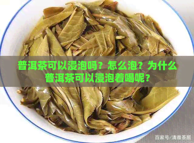 普洱茶可以浸泡吗？怎么泡？为什么普洱茶可以浸泡着喝呢？