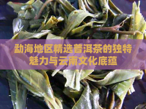 勐海地区精选普洱茶的独特魅力与云南文化底蕴