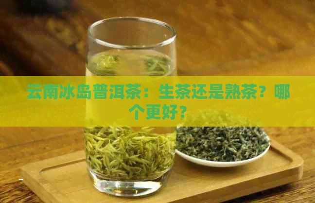 云南冰岛普洱茶：生茶还是熟茶？哪个更好？