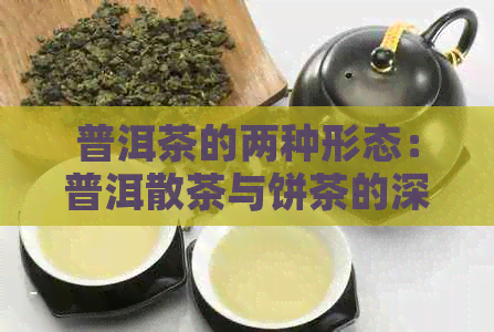 普洱茶的两种形态：普洱散茶与饼茶的深度解析