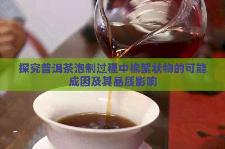 探究普洱茶泡制过程中棉絮状物的可能成因及其品质影响