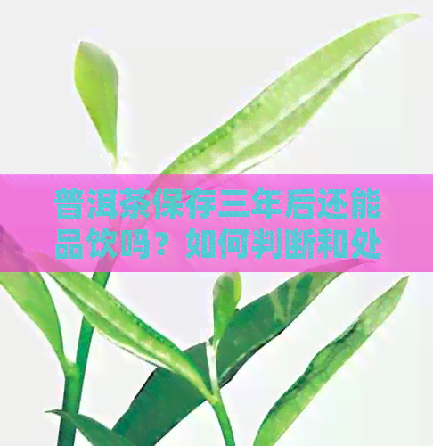 普洱茶保存三年后还能品饮吗？如何判断和处理？