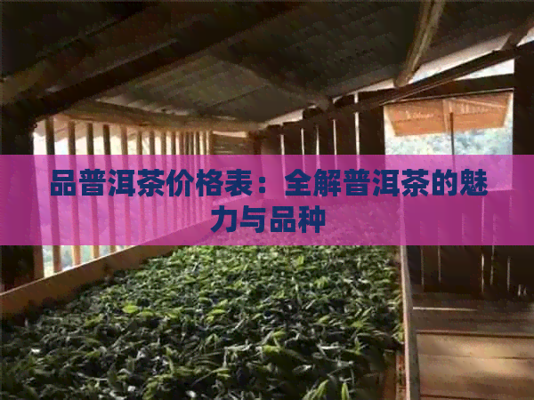 品普洱茶价格表：全解普洱茶的魅力与品种