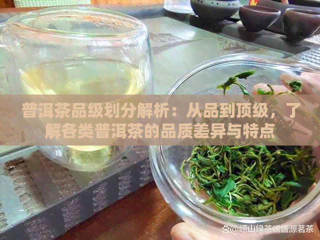 普洱茶品级划分解析：从品到顶级，了解各类普洱茶的品质差异与特点