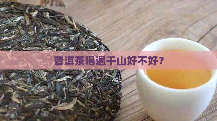 普洱茶喝遍千山好不好？