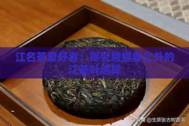 江名茶爱好者：探究碧螺春之外的江茶叶选择