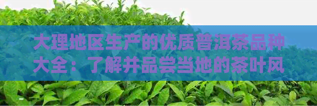 大理地区生产的优质普洱茶品种大全：了解并品尝当地的茶叶风味