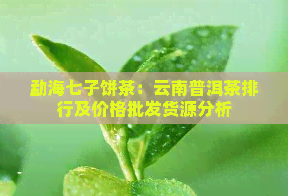 勐海七子饼茶：云南普洱茶排行及价格批发货源分析