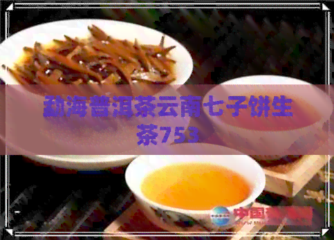 勐海普洱茶云南七子饼生茶753