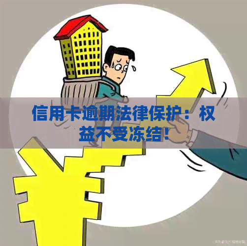 信用卡逾期法律保护：权益不受冻结！