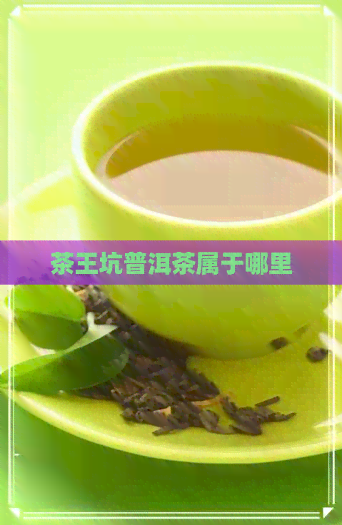 茶王坑普洱茶属于哪里