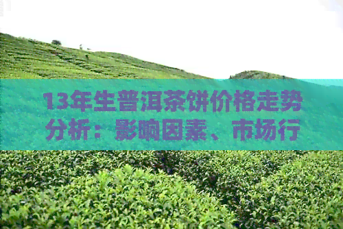 13年生普洱茶饼价格走势分析：影响因素、市场行情及投资价值全面解析