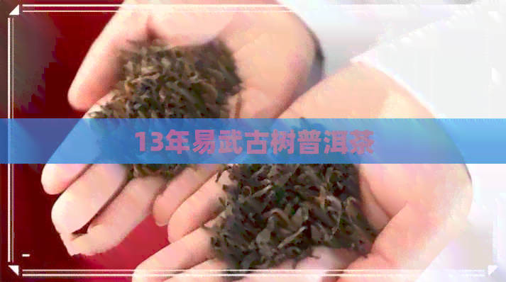 13年易武古树普洱茶