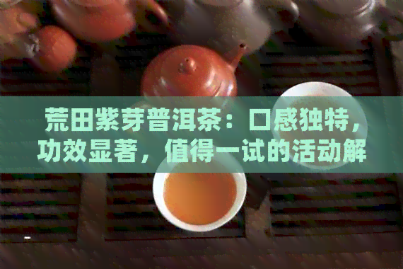 荒田紫芽普洱茶：口感独特，功效显著，值得一试的活动解析