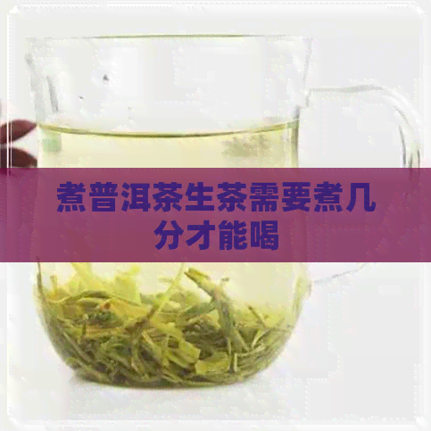 煮普洱茶生茶需要煮几分才能喝