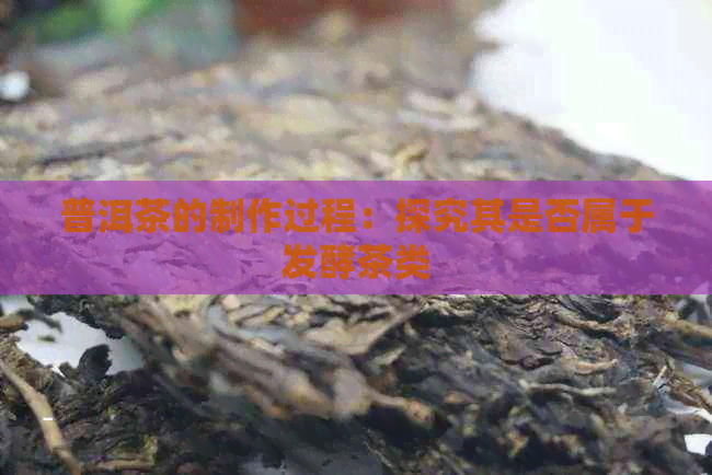 普洱茶的制作过程：探究其是否属于发酵茶类