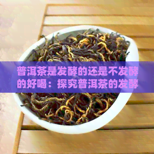 普洱茶是发酵的还是不发酵的好喝：探究普洱茶的发酵与口感关系