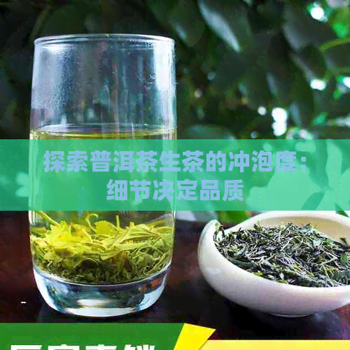 探索普洱茶生茶的冲泡度：细节决定品质