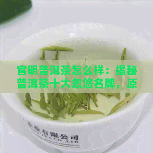 宫明普洱茶怎么样：揭秘普洱茶十大忽悠名牌，原生班章冰岛表现如何？