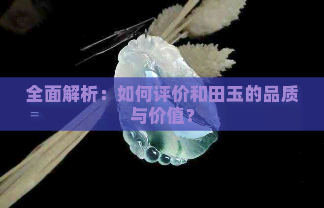 全面解析：如何评价和田玉的品质与价值？