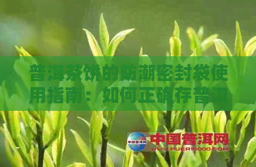 普洱茶饼的防潮密封袋使用指南：如何正确存普洱茶饼以保持其品质和口感