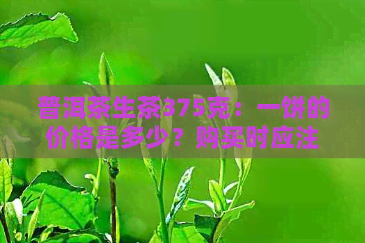 普洱茶生茶375克：一饼的价格是多少？购买时应注意哪些因素？