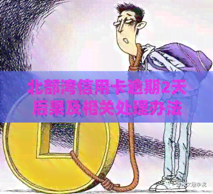 北部湾信用卡逾期2天后果及相关处理办法