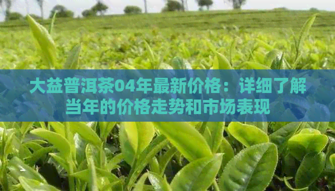 大益普洱茶04年最新价格：详细了解当年的价格走势和市场表现