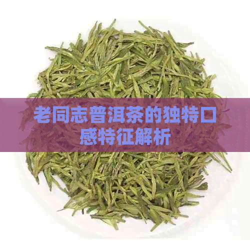 老同志普洱茶的独特口感特征解析