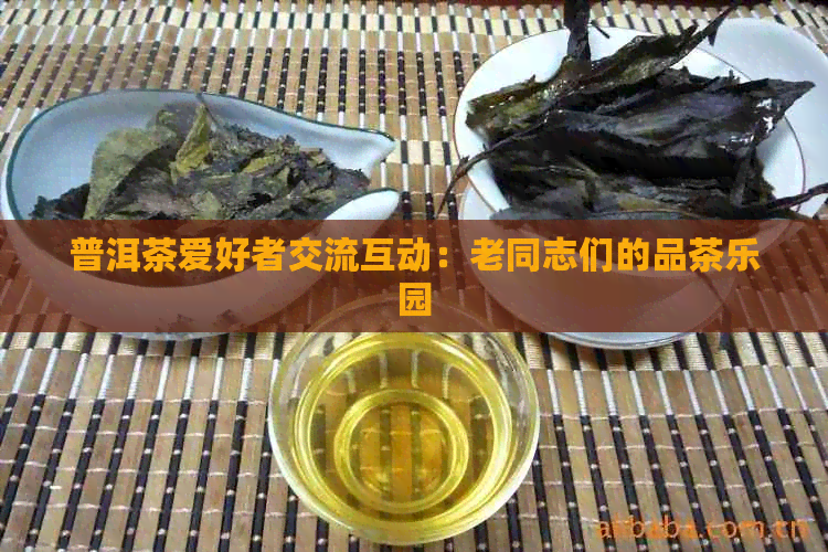 普洱茶爱好者交流互动：老同志们的品茶乐园