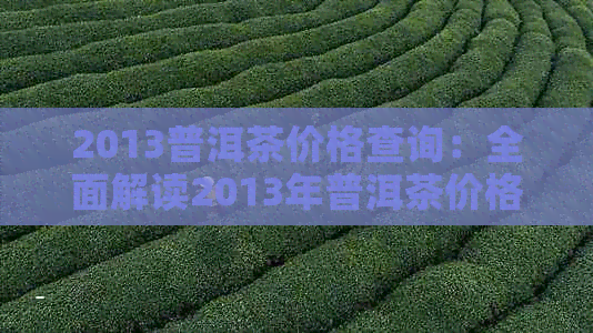 2013普洱茶价格查询：全面解读2013年普洱茶价格、饼价及品质