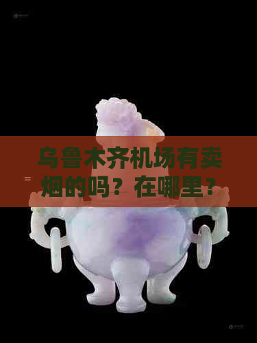 乌鲁木齐机场有卖烟的吗？在哪里？现在多少钱？