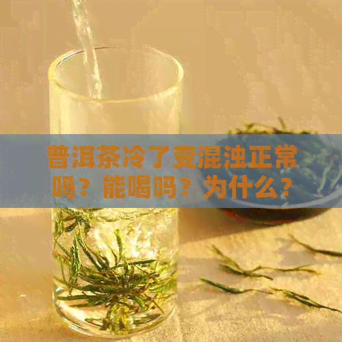 普洱茶冷了变混浊正常吗？能喝吗？为什么？