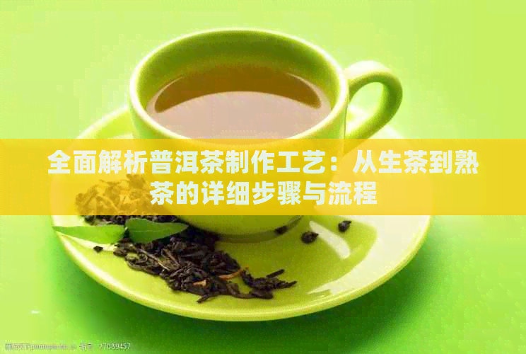 全面解析普洱茶制作工艺：从生茶到熟茶的详细步骤与流程