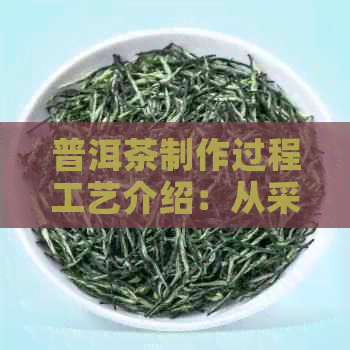 普洱茶制作过程工艺介绍：从采摘到制作的全过程详解