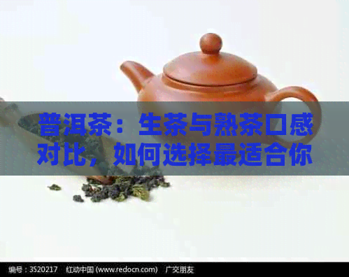 普洱茶：生茶与熟茶口感对比，如何选择最适合你的茶叶？