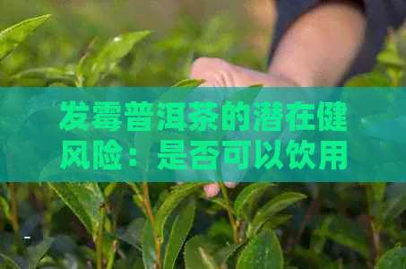 发霉普洱茶的潜在健风险：是否可以饮用及其素问题解析