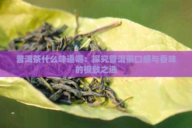 普洱茶什么味道喝：探究普洱茶口感与香味的极致之选