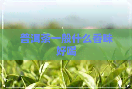 普洱茶一般什么香味好喝